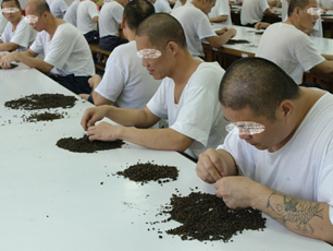其他類加工_茶葉撿枝