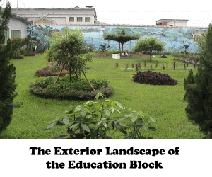 The Exteior Landscape of the Education Block